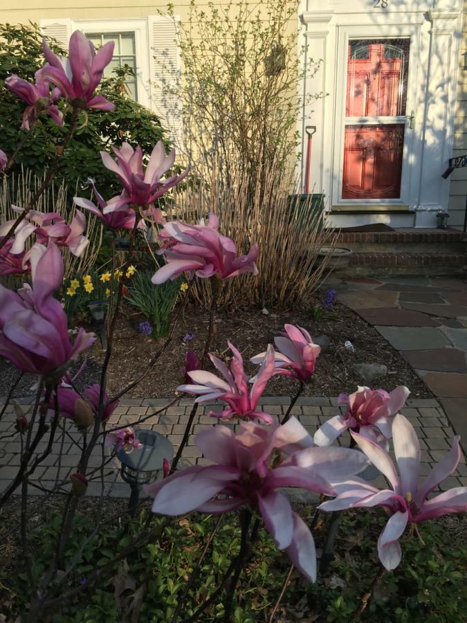 Wellesley Bed And Breakfast Exteriér fotografie
